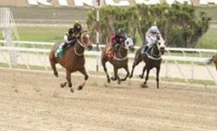 Marco Antonio domina el Clásico “Francisco de Miranda” en La Rinconada