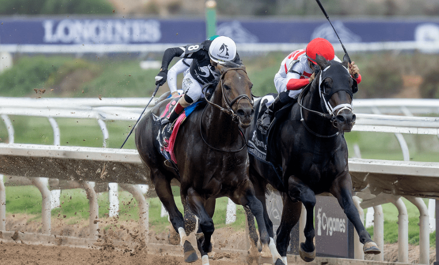 Bentornato calienta motores para su regreso: el subcampeón de la Breeders’ Cup Sprint vuelve al escenario hípico