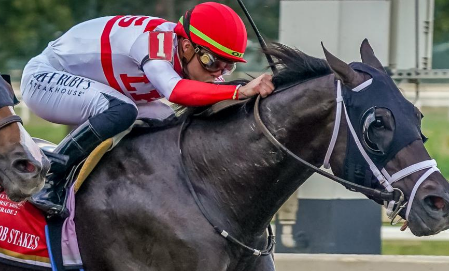 Bentornato afina preparación y fija fecha de viaje rumbo al Festival de la Dubai World Cup